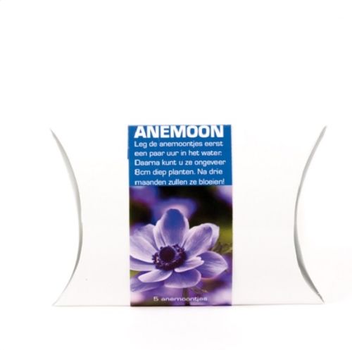 Fixbox mit Blumenzwiebeln - Bild 4
